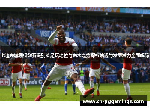 卡迪夫城现役联赛级别英足坛地位与未来走势探析境遇与发展潜力全面解码 卡迪夫城现役联赛级别英足坛地位与未来走势探析境遇与发展潜力全面解码