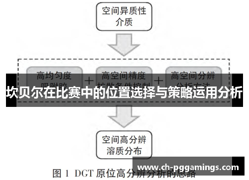 坎贝尔在比赛中的位置选择与策略运用分析 坎贝尔在比赛中的位置选择与策略运用分析
