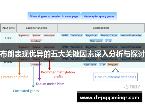 布朗表现优异的五大关键因素深入分析与探讨