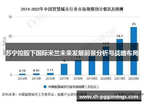 苏宁控股下国际米兰未来发展前景分析与战略布局