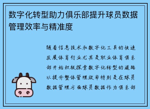 /uploads/images/20260713/shu-zi-hua-zhuan-xing-zhu-li-ju-le-bu-ti-sheng-qiu-yuan-shu-ju-guan-li-xiao-lyu-yu-jing-zhun-du.webp